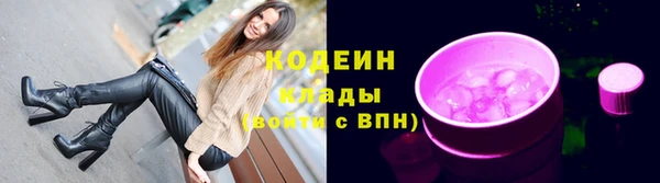 индика Рославль